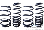 Performance Lowering Springs